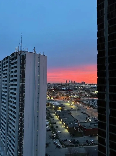 Condo For Rent Image# 3