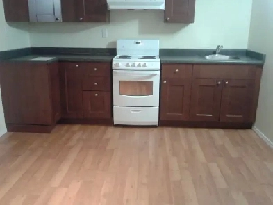 BASEMENT SUITE(RENT $900) 885 McAllister Crescent SW-Door to Str Image# 11