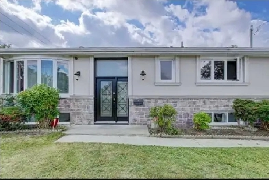 BASEMENT ROOM FOR RENT NEAR SCARBORO TC Image# 1