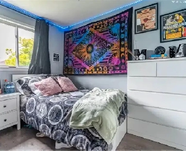 Fanshawe college Students room for rent for Ladies for August 01 Image# 6