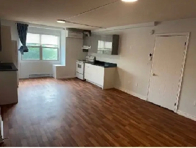 Now or August 1 Green St Downtown Lg. 2 Bedroom Apt All Utils In Image# 2