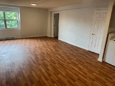Now or August 1 Green St Downtown Lg. 1 Bedroom Apt All Utils In Image# 6