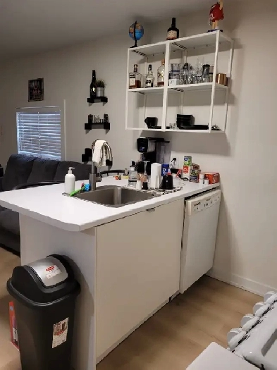 1 Bedroom Apt for rent in Tottenham Image# 1