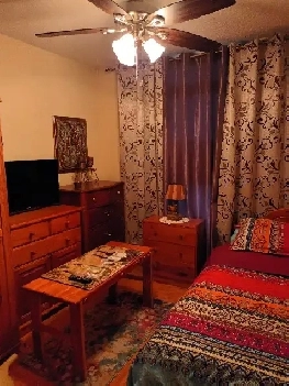 Nice,clean room -Etobicoke(West Mall and Bloor) Image# 5