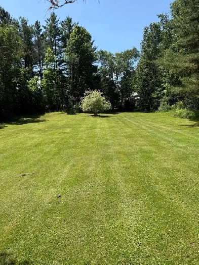 UNORGANIZED township, ready to move in, steps from the lake Image# 6