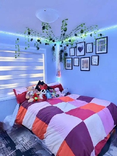Room for rent - Orleans Image# 9