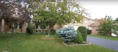 Looking for Female Housemate in 3-Bedroom Home | $1600 Image# 1