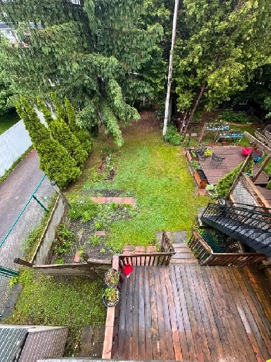✨ Spacious Lower Duplex for Rent – $1795/month – McLynn in NDG ✨ Image# 2