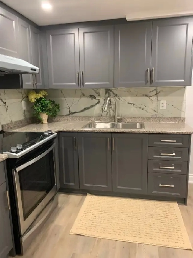 Brand new legal one bedroom & den (small room) basement apartmen Image# 1