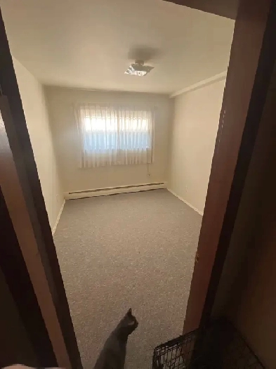 ROOMMATE WANTED $500 A MONTH Image# 3