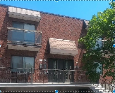 Beau 4 1/2 à louer à Ahuntsic Image# 7