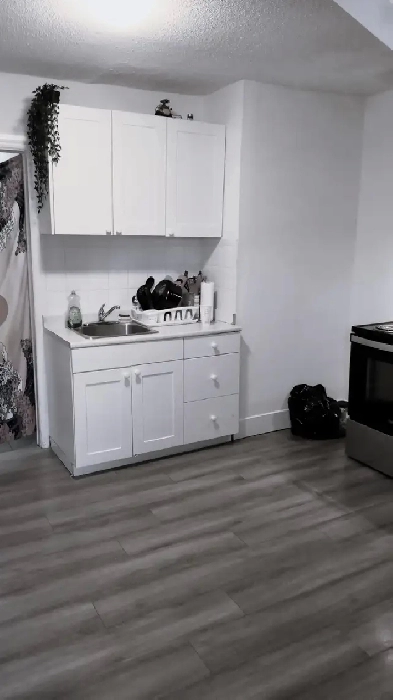Spacious Top Floor 1-Bedroom   Den ($1500 Inclusive) Image# 5