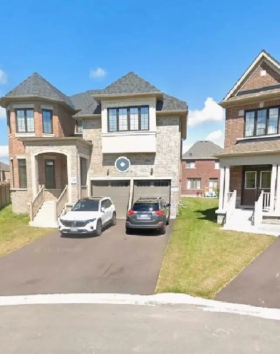 2 Bedroom Basement North of Newmarket Image# 1