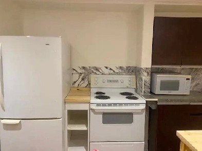Basement Suite for Rent Image# 4