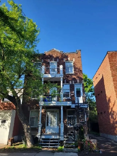 Ideal location 6 1/2 in heart of plateau mont royal for rent! Image# 3