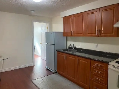 Mississauga Centre  One Bedroom Basement Apartment for Rent Image# 1