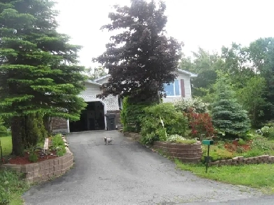 HOUSE FOR SALE Image# 3
