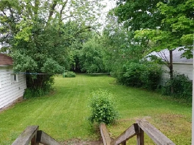 Four bedroom basement for rent @Yonge & Finch Image# 5