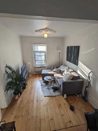 1 Bed 1 Bath - Apartment Image# 7