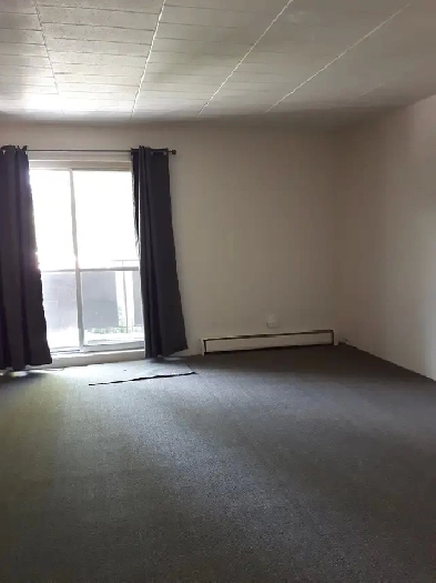 Spacious 2 bedroom apartment available in Chippawa (Niagara Fall Image# 10