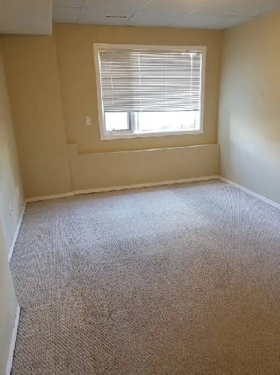 Edgemont Basement Room for Rent Image# 3