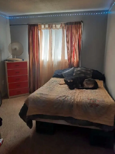 one room in a two bedroom apartment for rent Image# 1