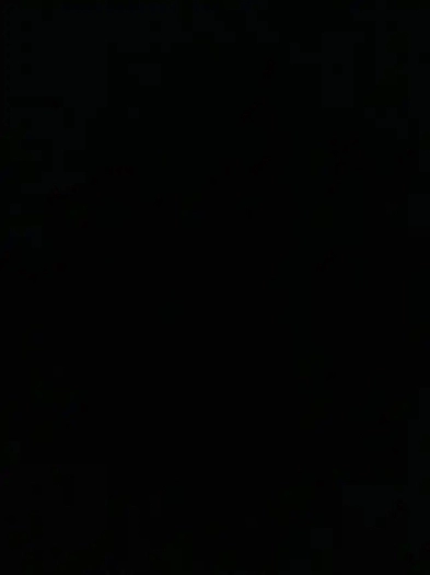 3 bedroom basement available for rent in Windsor downtown Image# 1