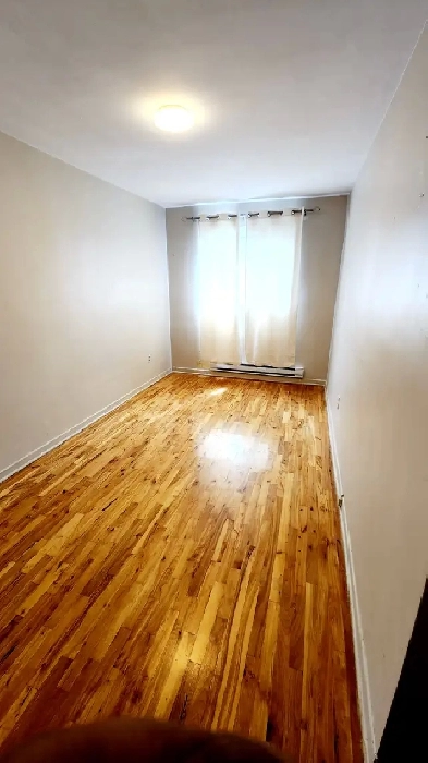 Grande chambre à louer dans un logement chaleureux, sécuritaire Image# 2