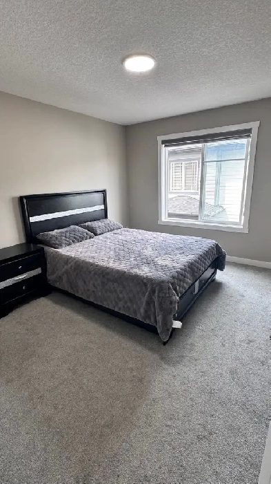 Masterbedroom for rent Image# 10