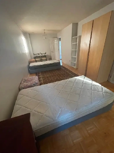 Room for Females / Couple & 1 Male Roommate Wanted Image# 4