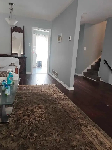 room for rent in house for girl Image# 1
