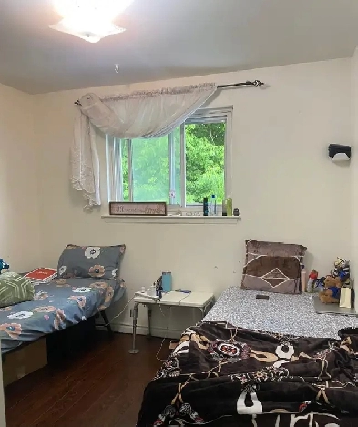 Room in sharing for 1 girl with vegetarian Indian food-$550 Image# 4