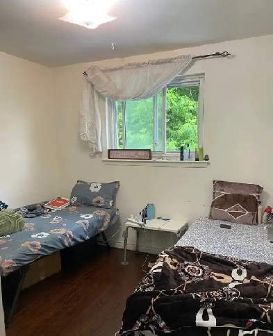 Room in sharing for 1 girl with vegetarian Indian food-$550 Image# 1