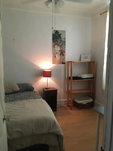Petite chambre libre juillet-août,   à discuter Image# 15