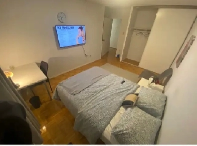 Room for Rent - Available 01 August - Downtown Toronto - Male Image# 1
