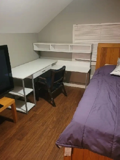 Room for rent August 1st in Lindsay $900 Image# 1