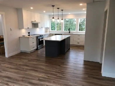 Beautiful new 1000 Sq ft apartment Image# 1