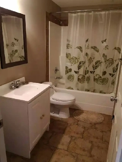 two-roomy-bedroom basement available now Image# 8