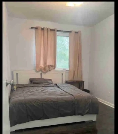 ROOM FOR RENT Image# 1