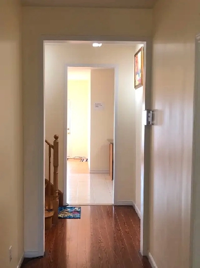 Room For Rent York University village - Move in Sept 1st $750 Image# 2