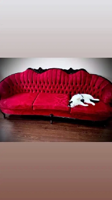 ✨Seeking Room Rental Image# 1