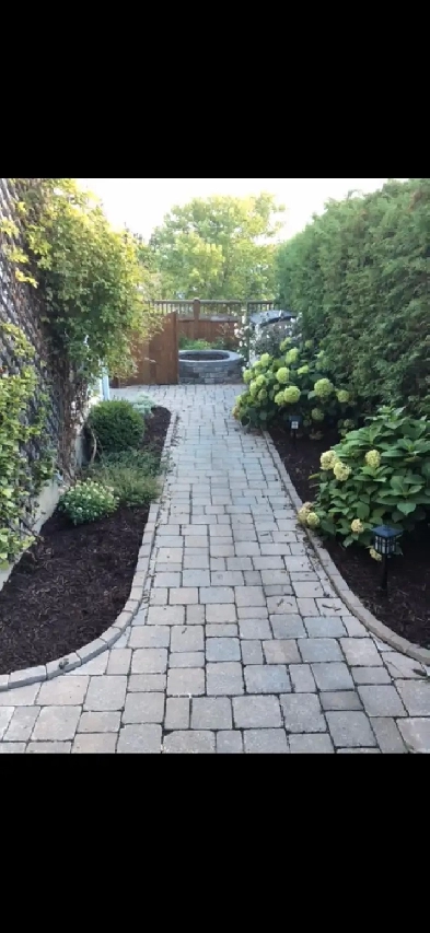 Walking distance to Merivale & meadowlands Image# 4