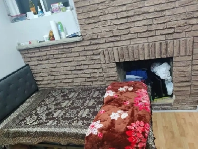 Private Room for rent in shared basement Image# 3