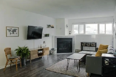 Fully Furnished 3 Bedroom Apartment For Rent in Masonville Image# 2