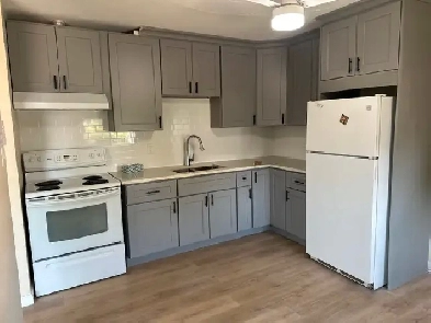 Two bedroom apartment Image# 3