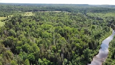 10 ACRES FOR SALE IN FIELD ONT. Image# 9