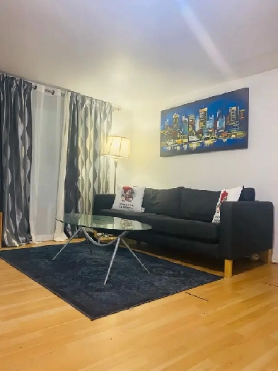 sublet furnished apt (august and Sept) Image# 2