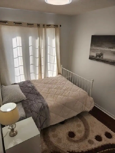 Room for Rent Image# 1