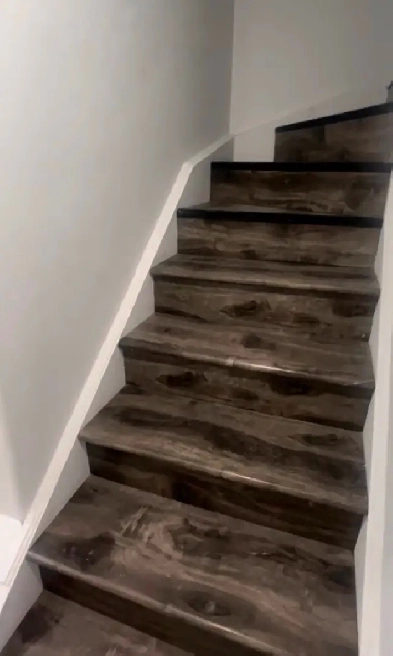 3 Bedroom 2 Washroom Legal Basement for Rent from 1 August Image# 2