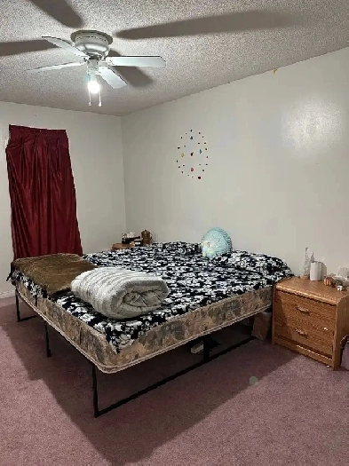 Female Room mate needed 15 July McLaughlin and Oaklea Image# 2